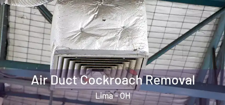 Air Duct Cockroach Removal Lima - OH