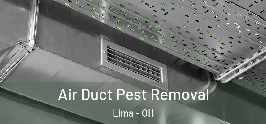 Air Duct Pest Removal Lima - OH