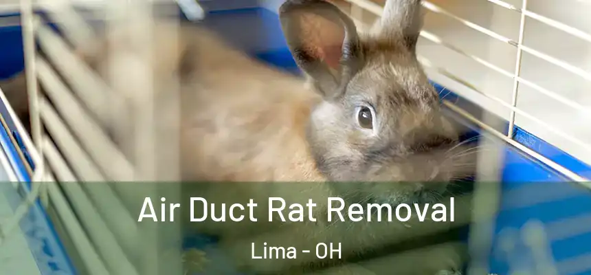 Air Duct Rat Removal Lima - OH
