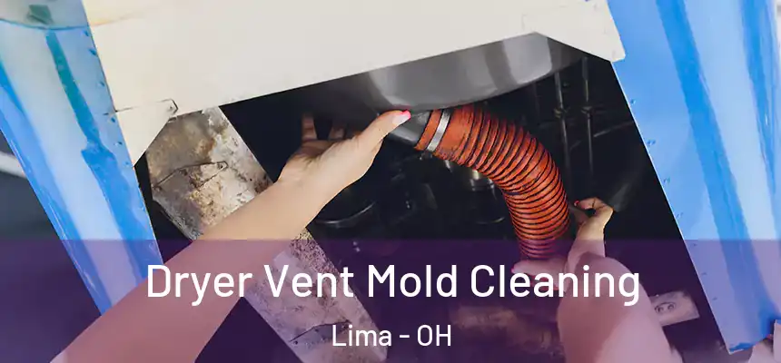  Dryer Vent Mold Cleaning Lima - OH