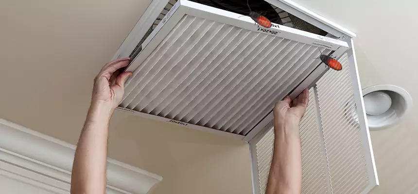 Preventive Cockroach-Proofing for Ducts in Lima