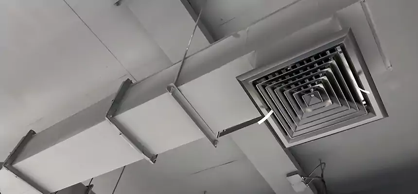 Our Rodent Droppings In Vents Services in Lima, OH