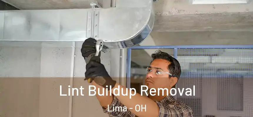 Lint Buildup Removal Lima - OH