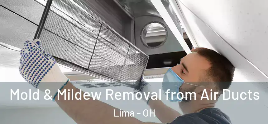 Mold & Mildew Removal from Air Ducts Lima - OH