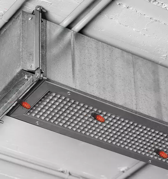 About Air Duct Cockroach Removal in Lima, OH
