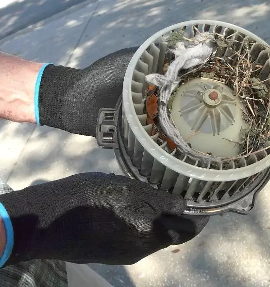 About Air Duct Rat Removal in Lima, OH