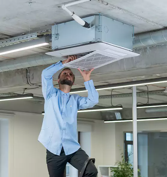 Advanced Rodent Droppings In Vents in Lima, OH