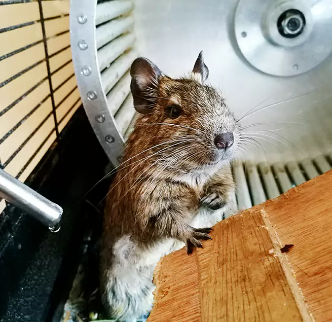 Why Homeowners & Businesses Trust Us Lima, OH