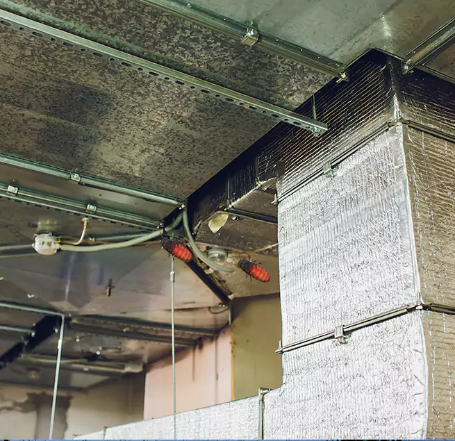 Why Homeowners & Businesses Trust Us Lima, OH?